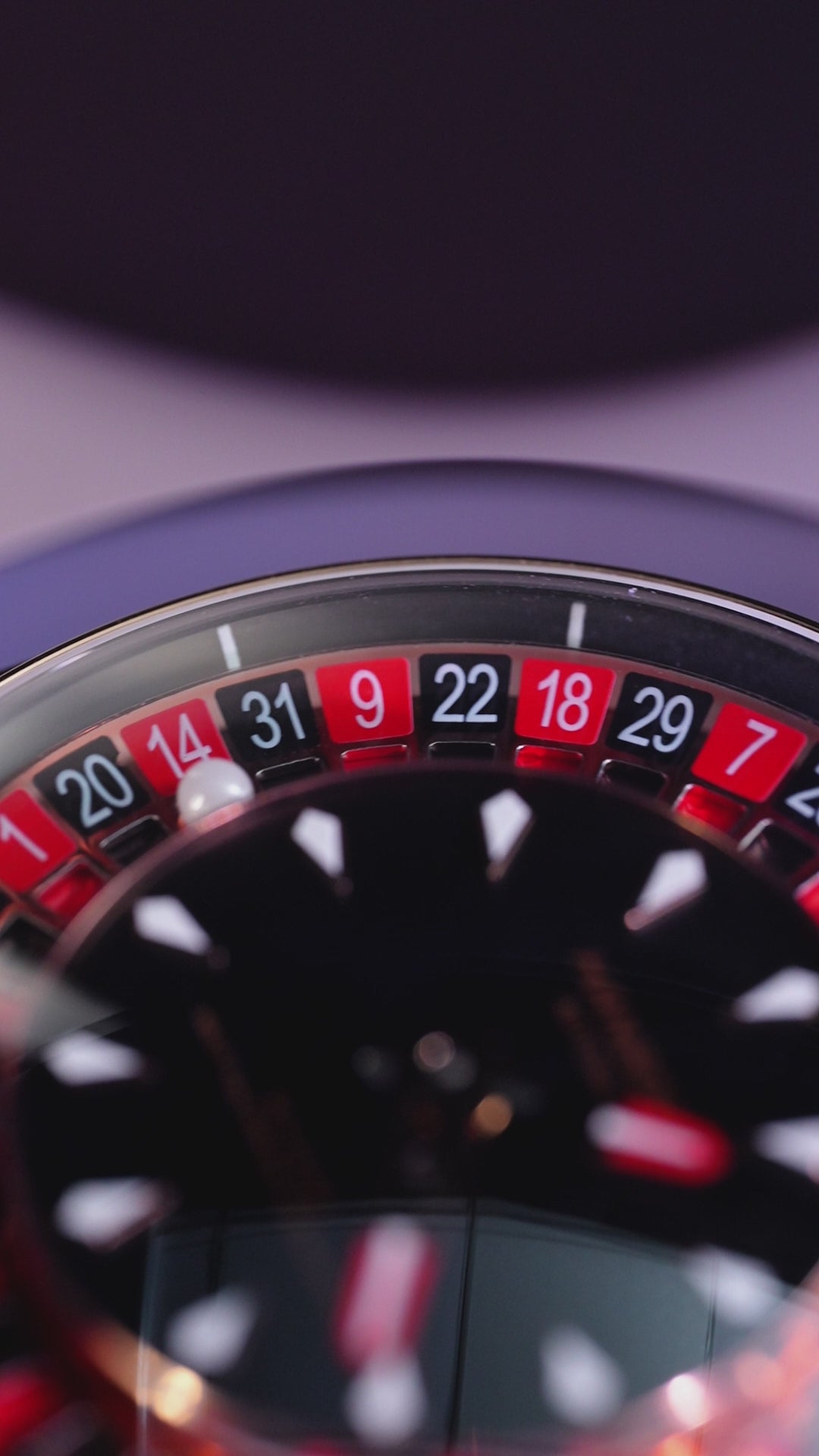 Casino Series: Roulette Royale Automatic Watch